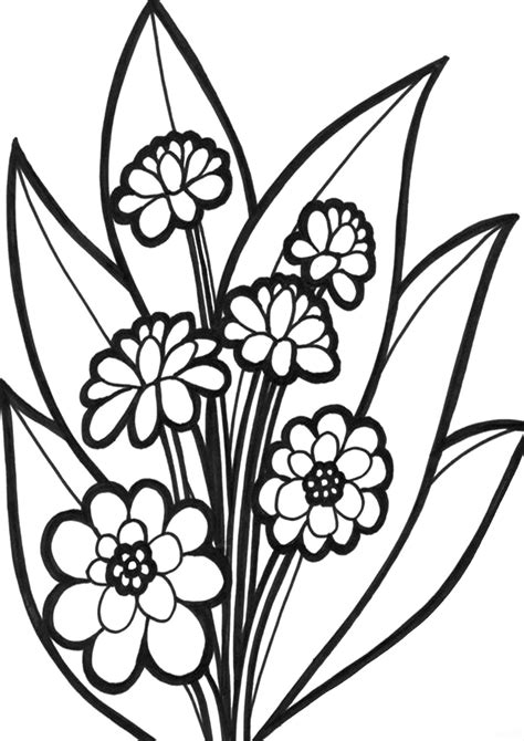 Free Printable Flower Coloring Pages For Kids Best Coloring Pages For