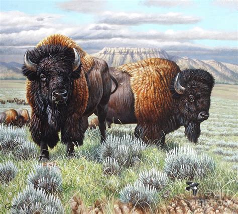 Bison Finish Painting By Cynthie Fisher Pixels