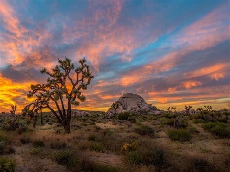 Number 1 Best Place In Joshua Tree National Park To Watch Sunset