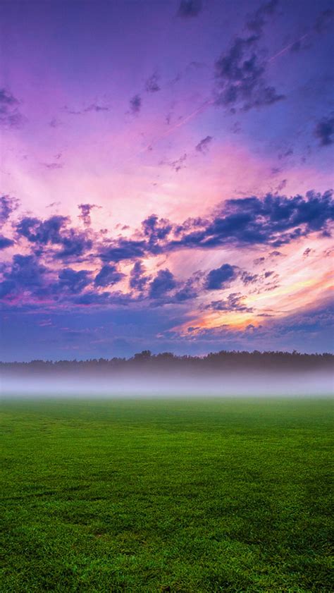 1082x1920 Green Grass And Fogg Under Purple Sky During Sunset 1082x1920