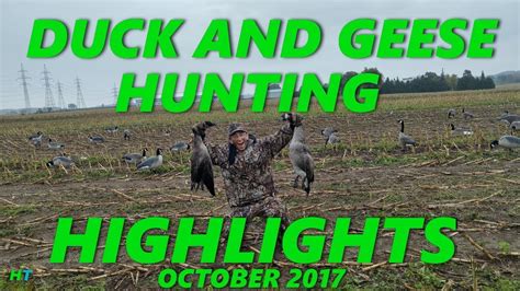 Duck And Geese Hunting Highlights October 2017 Hunter Tom Youtube