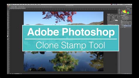 Learn How To Use The Clone Stamp Tool In Photoshop In 3 Minutes Youtube