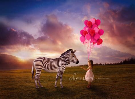 Imaginary Child Portraits Girl Balloons And Zebra With Sunset Creative