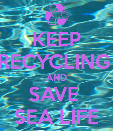 Keep Recycling And Save Sea Life Poster Kristi Keep