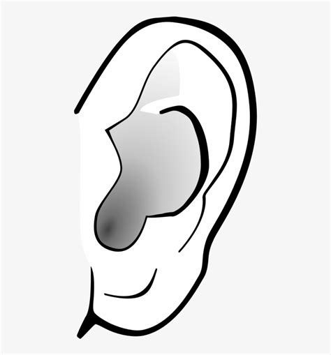 Ear Clip Art Free Ear Clipart Transparent Background Free