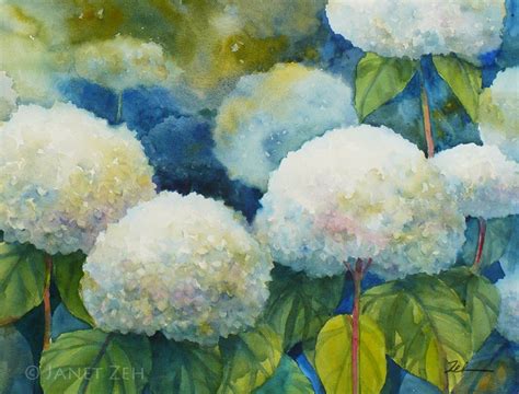 Hydrangeas Print White Flower Watercolor Wall Art By Janet Zeh Etsy