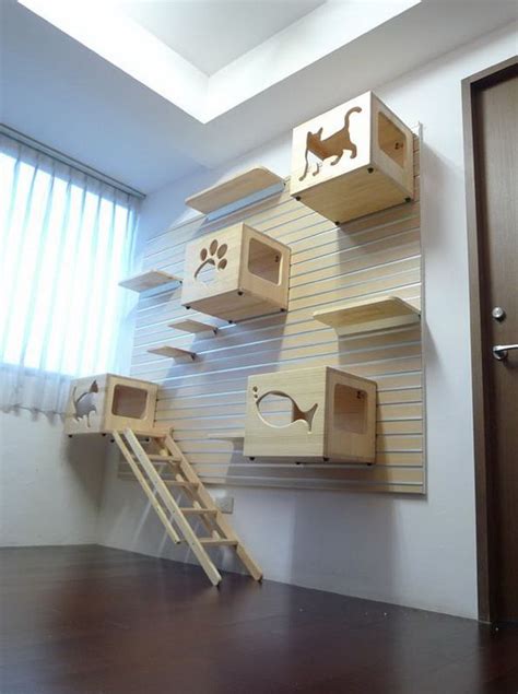 Check spelling or type a new query. Cat Furniture and Decor Ideas That You Will Immediately ...