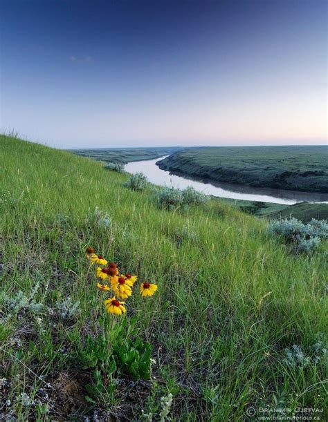 Grassland National Park Southern Saskatchewan Grasslands National