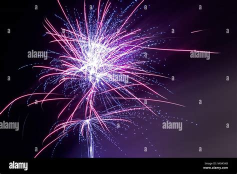 Purple Fireworks Against The Black Sky At Night Stock Photo Alamy