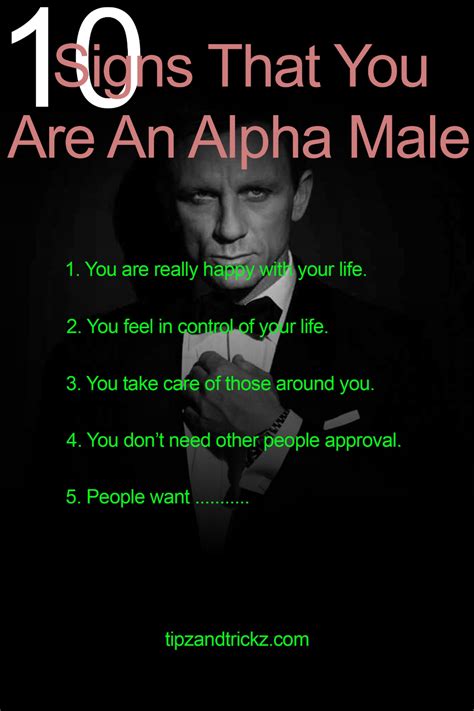 Signs That You Are An Alpha Male Alpha Male Alpha Male Traits Alpha Male Quotes