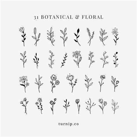 White and blue wedding with darling details wedding fern decor. BOTANICAL & Floral Black White Clipart Bundle Set PNG ...