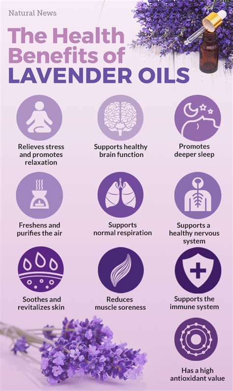 Why Lavender Is The Most Important Essential Oil To Use Right Now The