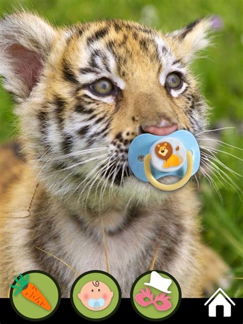 Zoola Animals Deluxe Lite App Price Drops