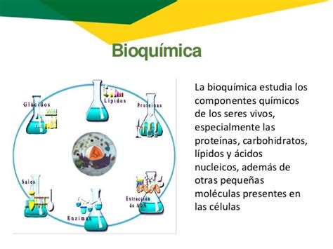 Bioquimica 001