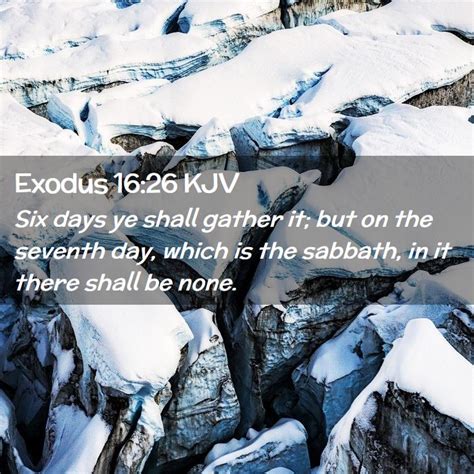 Exodus 1626 Kjv Six Days Ye Shall Gather It But On The Seventh