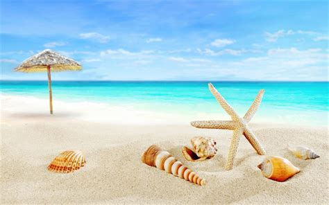 Download Wallpapers Tropical Islands Beach Paradise Seashells