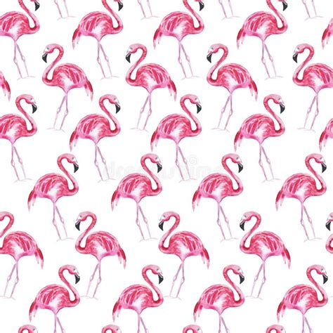 Seamless Pattern With Pink Flamingo On A White Background Watercolor