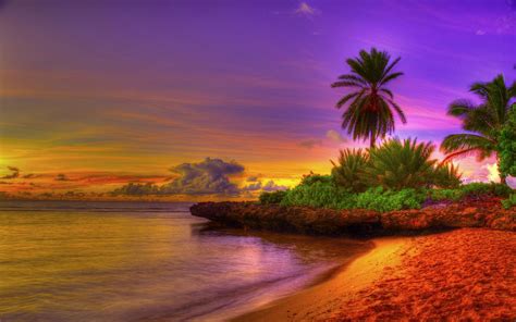 Summer Exotic Beach Background | Gallery Yopriceville - High-Quality ...