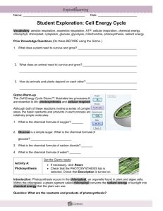 Osmosis gizmo worksheet answers osmosis answer key vocabulary: studylib.net - Essays, homework help, flashcards, research papers, book reports, and others