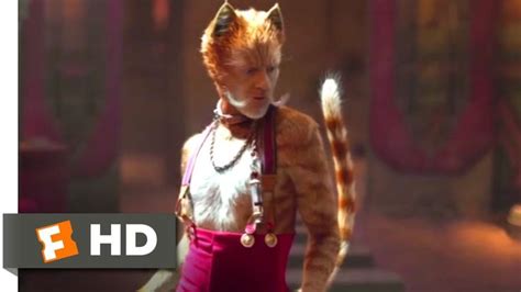 Cats 2019 Skimbleshanks The Railway Cat Scene 710 Movieclips