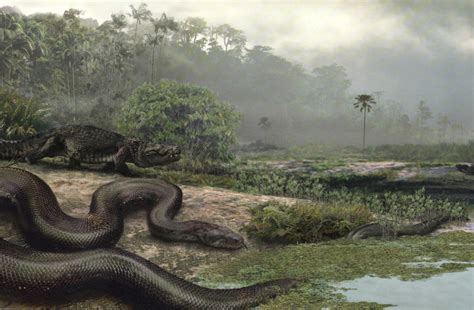 These 3 Prehistoric Snakes Are The Stuff Of Nightmares Discover Magazine