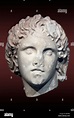 Ritratto di Alessandro il Grande a Pella, Grecia Foto stock - Alamy