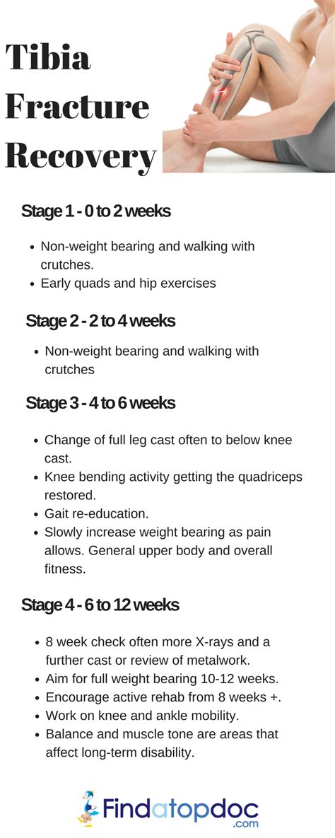 Tibia Fracture Recovery Infographic