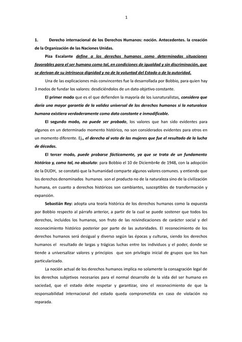 DD HH Apunte Primer Parcial Derecho Internacional De Los Derechos