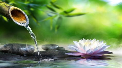 Yoga Relaxation And Meditation Free Images Meditation Zen Chan