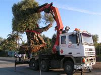 Transportes Especiales Sanchez Gimeno Rboles