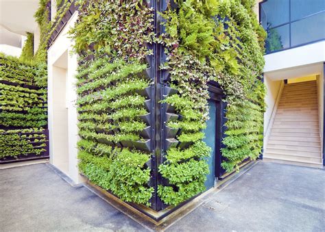 Green Wall Systems Vertical Garden Landscaping Services Melbourne