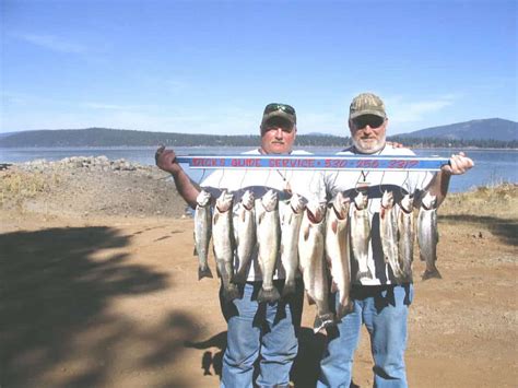 Lake Fishing Heats Up In September Mountain Valley Living