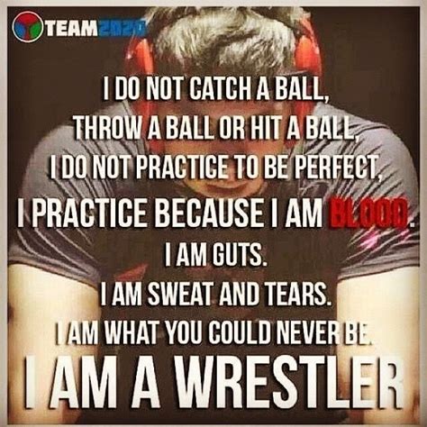 Pin By Karmin Mcginnis On Sports Wrestling Quotes Youth Wrestling