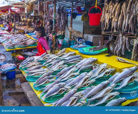 Busan Jagalchi Fish Market Editorial Image Image Of Jagalchi 147925450