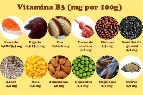 En vitamina b1 podrás encontrár información sobre alimentos con vitamina b. Cantidad de vitamina B3 en alimentos | Calorías y nutrientes