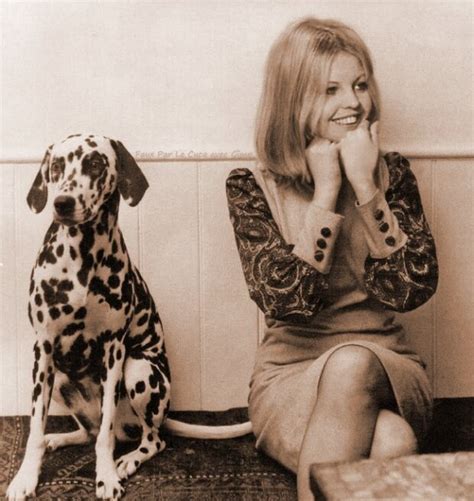 Sally Thomsett Looking Cute With Dog Lecucq