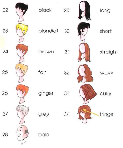 Hairdresser Beauty Salon Describing Hair Dictionary For Kids