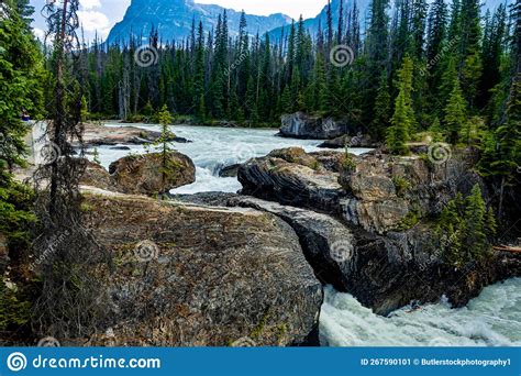 Natural Bridge Yoho National Park British Columbia Canada Stock Image