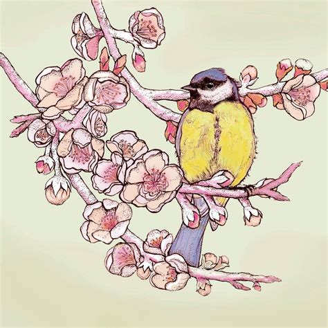 Blue Tit And Blossom Print By Fay S Studio