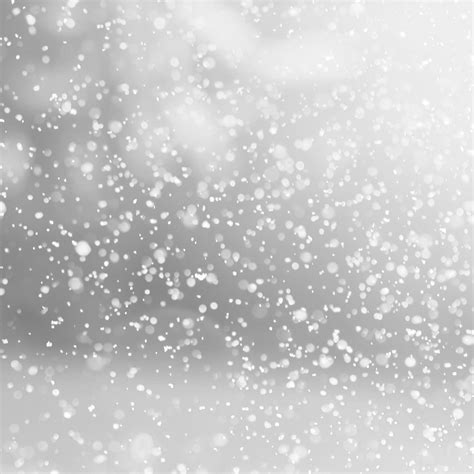 Free Download Snow Blown Winter Wallpapers 2524x2524 For Your Desktop