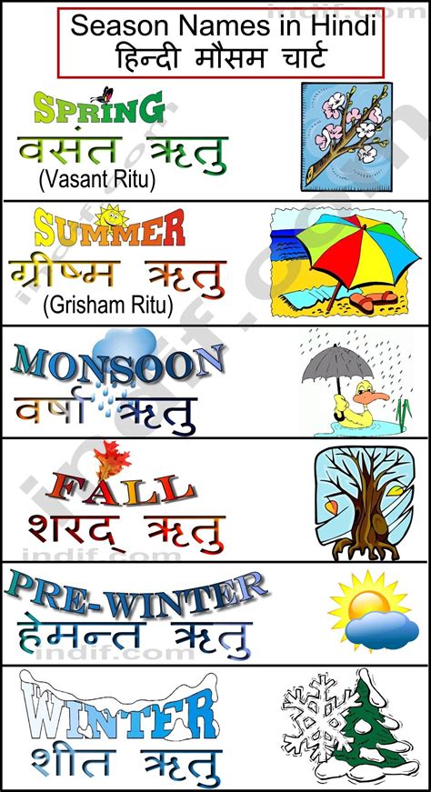 Seasons Of The Year Lesson For Kids Definition Facts
