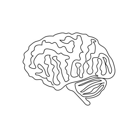Human Brain Drawing Stock Illustrations 10023 Human Brain Drawing