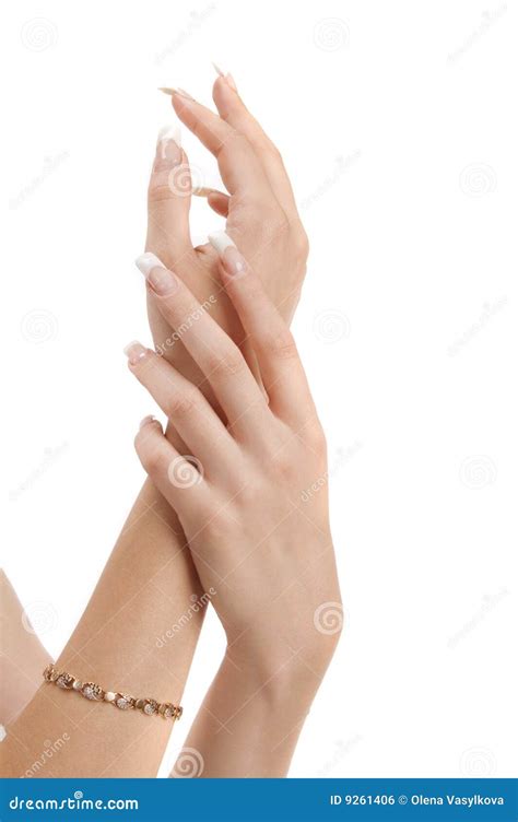 Woman S Hand Isolated Stock Photo Image Of Agreement 9261406