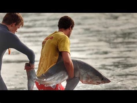 Real Great White Shark Pictures Ocean Ramsey Encounters Giant 20ft