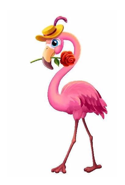 Flamingo Zoo Animation Behance