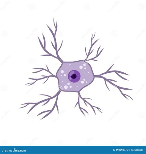 Blue Neuron Cell Brain Activity And Dendrites Membrane And The