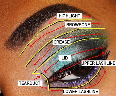 The Fancy Face Tips For Beginners Eyeshadow Placement And