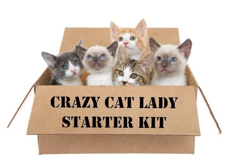 How To Become A Crazy Cat Lady The American Conservative