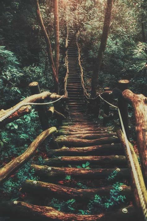 Woodland Path Fairy Forest Green Aesthetic Nature Photography