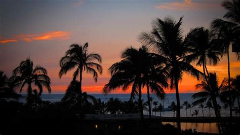 Download Wallpaper 1280x720 Palm Trees Sunset Hawaii